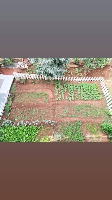 Saifarms Private Farmhouse Between Pune & Lonavala Nethersole Dam Exterior photo