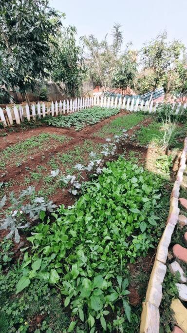 Saifarms Private Farmhouse Between Pune & Lonavala Nethersole Dam Exterior photo